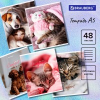 Т48BRAUBERG ЭКО Питомцы линия