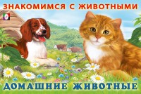 Фламинго Знакомимся с животными Домашние животные
