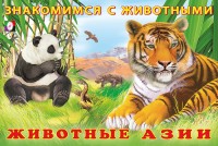 Фламинго Знакомимся с животными Животные Азии