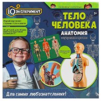 Тело человека IQ Эксперимент 10 деталей д/сборки