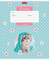 Т12Х клетка Котики бывают разными