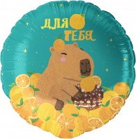 Шар ДБ18/46 Круг Капибара