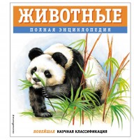 АиЭ квадрат Животные